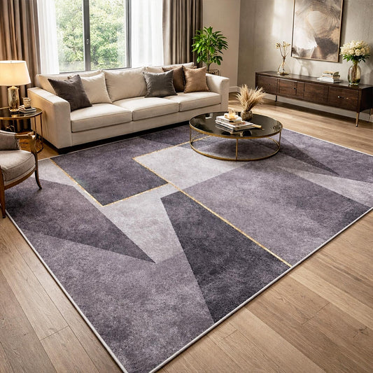 Tapis de Salon Greydo Imperméable